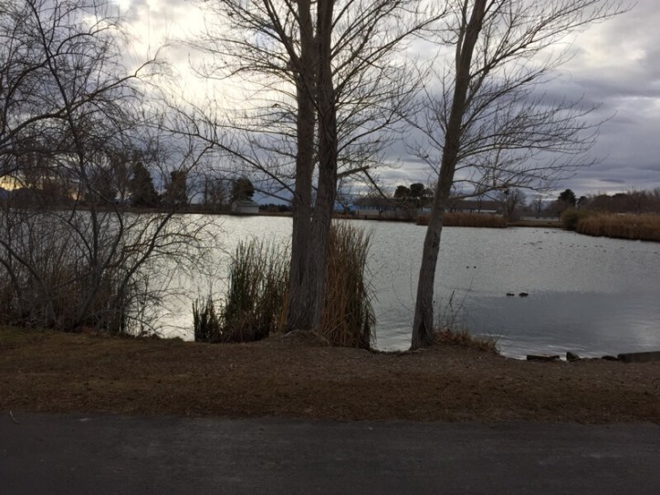 floyd-lamb-park.jpg