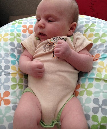 This completely adorable yet very time-consuming situation...