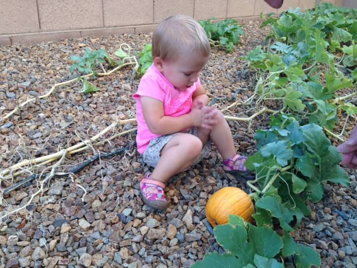 a-sitting-with-pumpkin-garden