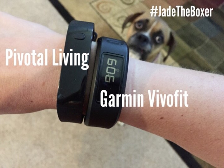 pivotal-living-garmin-vivofit.jpg