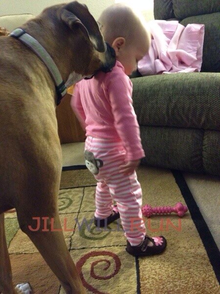 Jade The Boxer hovers over Alex