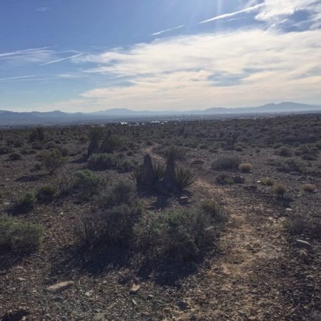 Trail during the Skye Canyon 8K