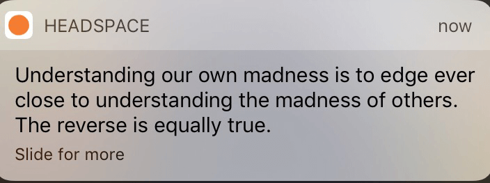 My madness... your madness... it all helps us understand one another.